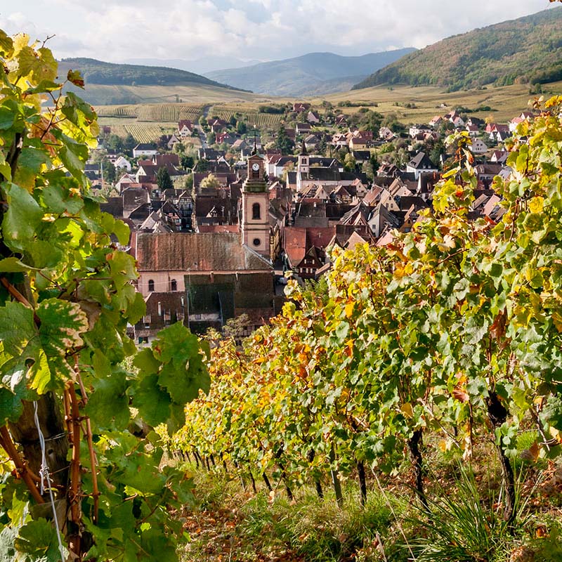 Cruising in the Alsace region of France