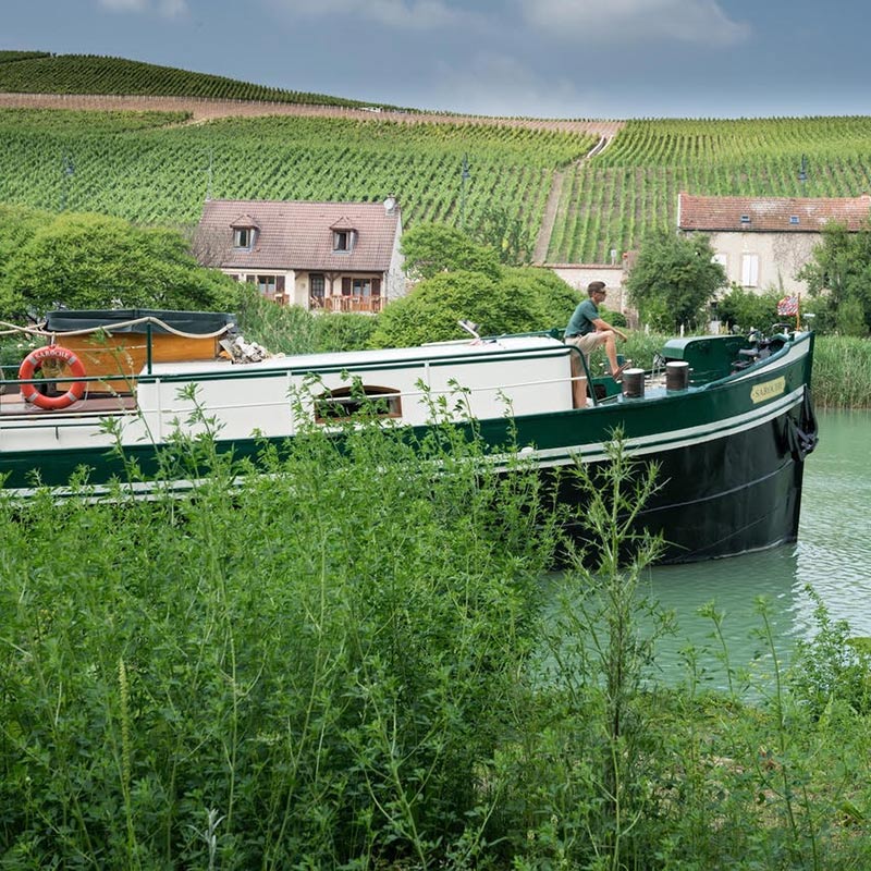 Farmer market in Francee