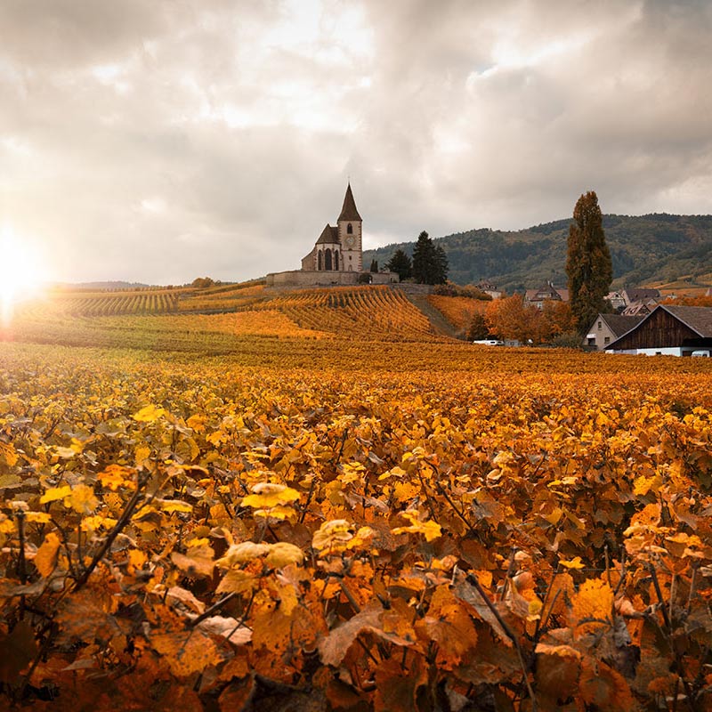 Cruising in the Alsace region of France