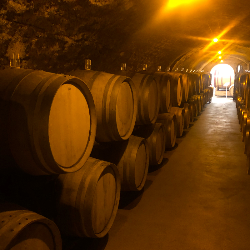 tonneaux, oak wine barrels